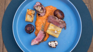 Iberico pluma overhead